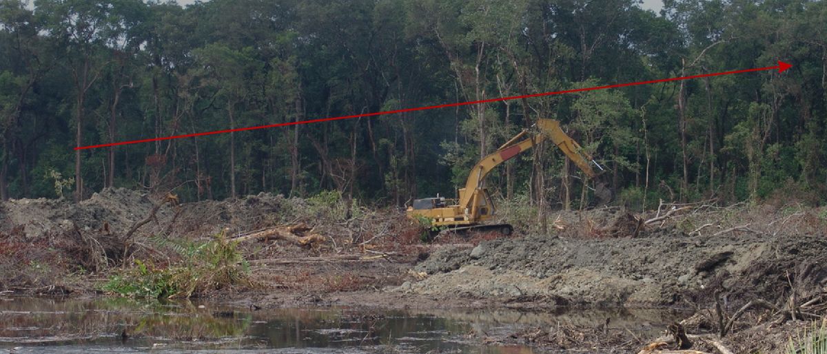 Mikel Maron: Crowdsourcing satellite imagery to document deforestation